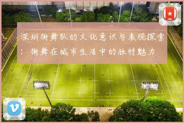 深圳街舞队的文化意识与表现探索：街舞在城市生活中的独特魅力