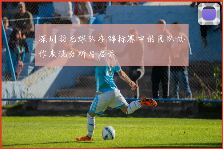 深圳羽毛球队在锦标赛中的团队协作表现分析与启示