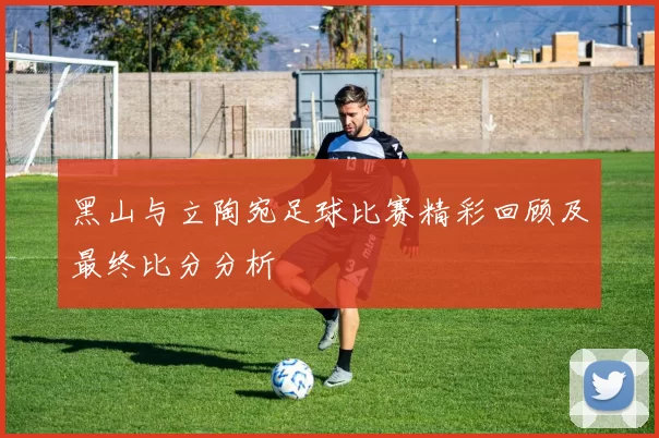 黑山与立陶宛足球比赛精彩回顾及最终比分分析