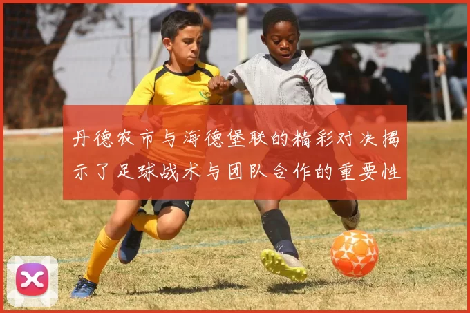 丹德农市与海德堡联的精彩对决揭示了足球战术与团队合作的重要性