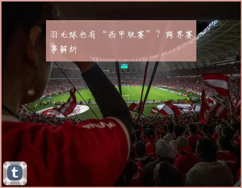 羽毛球也有“西甲联赛”？跨界赛事解析