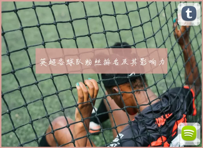 英超各球队粉丝排名及其影响力