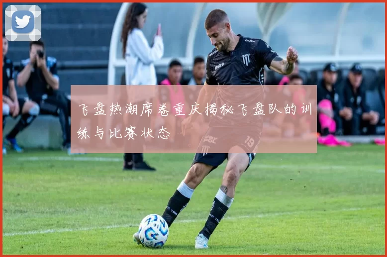 飞盘热潮席卷重庆揭秘飞盘队的训练与比赛状态
