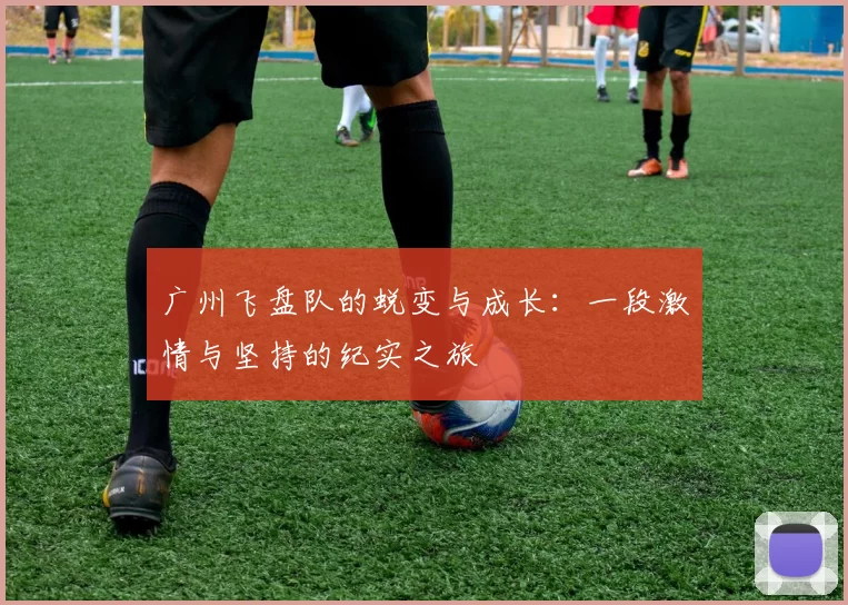 广州飞盘队的蜕变与成长：一段激情与坚持的纪实之旅
