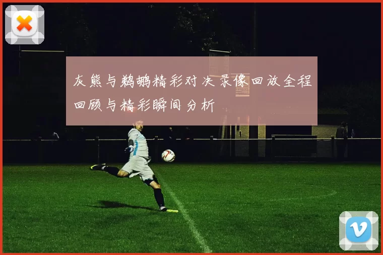 灰熊与鹈鹕精彩对决录像回放全程回顾与精彩瞬间分析